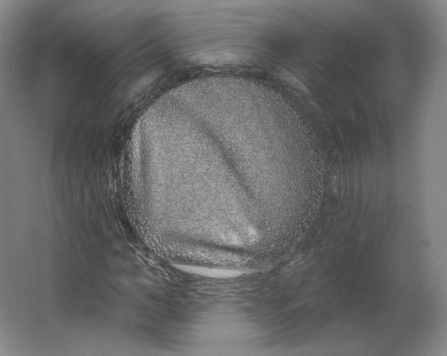 X0000063450966200602101644