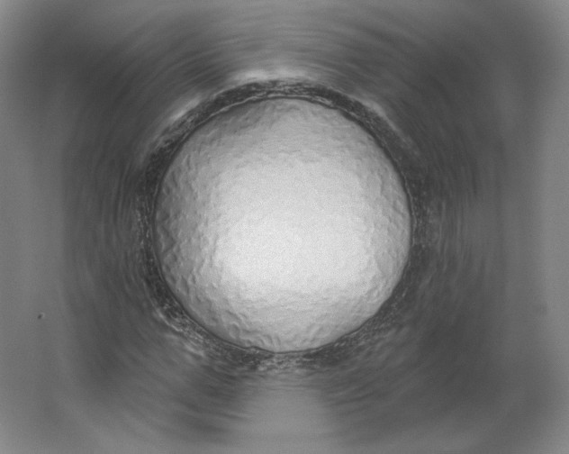 X0000063450967200602101644