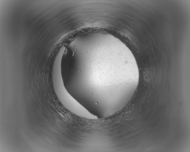 X0000063450968200602101644