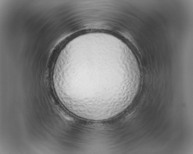 X0000063450971200602101644