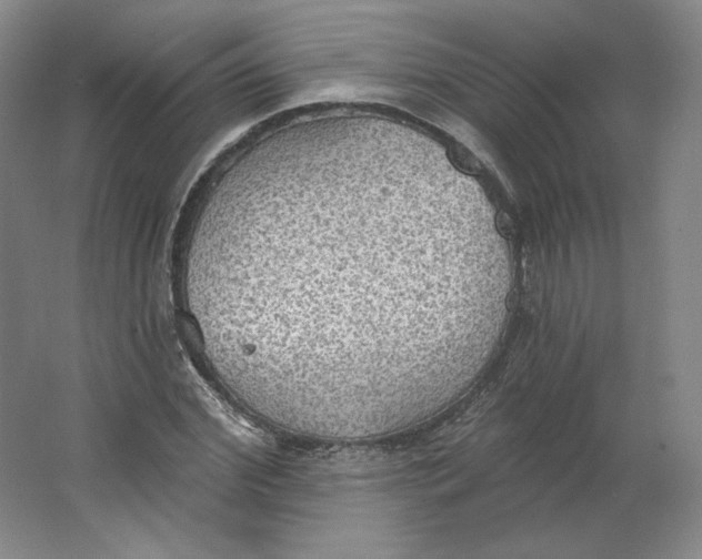 X0000063450972200602101644