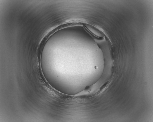 X0000063450973200602101644