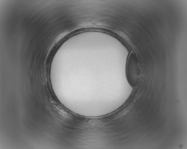 X0000063450974200602101644