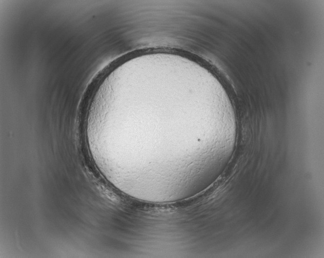 X0000063450975200602101644