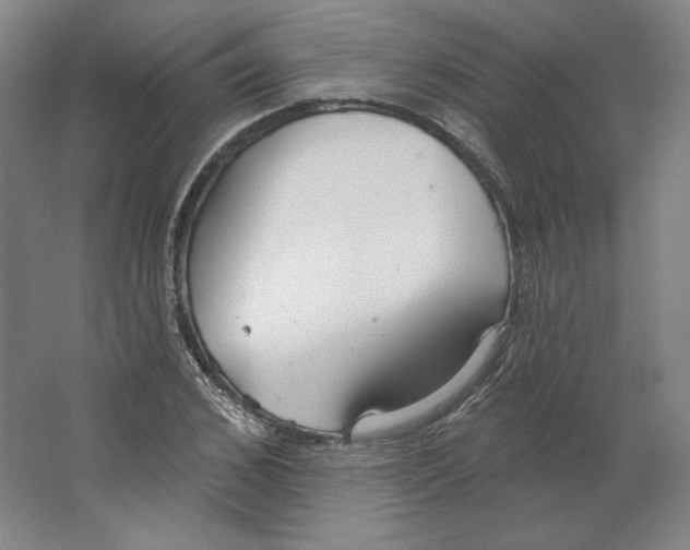 X0000063450976200602101644