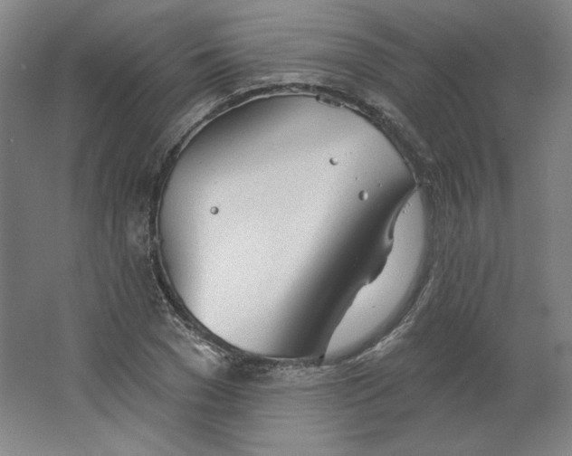 X0000063450977200602101644