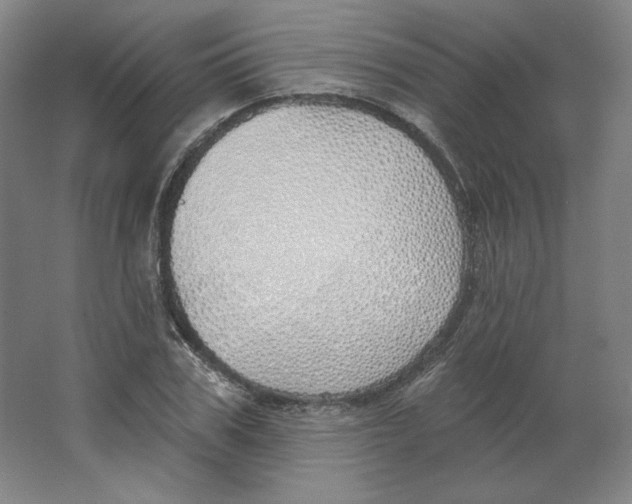 X0000063450979200602101644