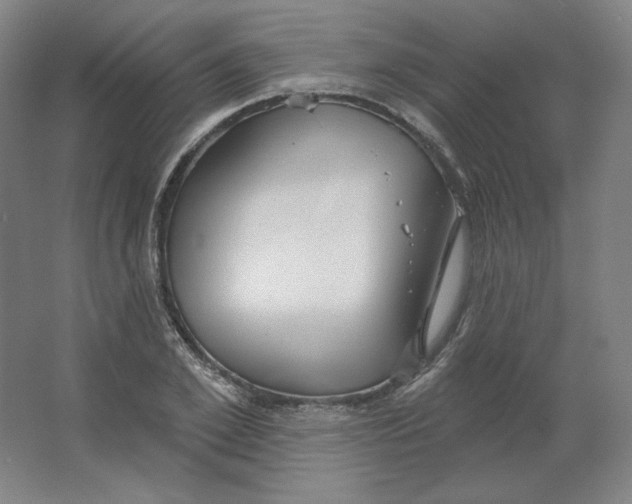 X0000063450981200602101644