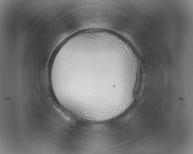 X0000063450982200602101644