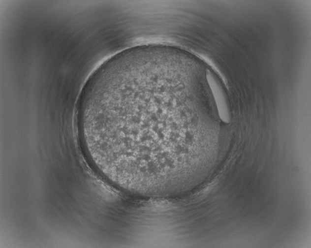 X0000063450983200602101644