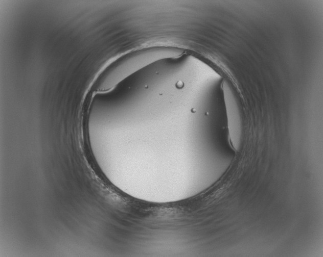 X0000063450984200602101644