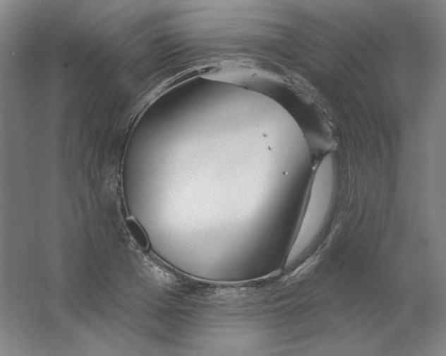 X0000063450985200602101644