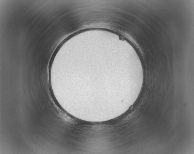 X0000063450988200602101644