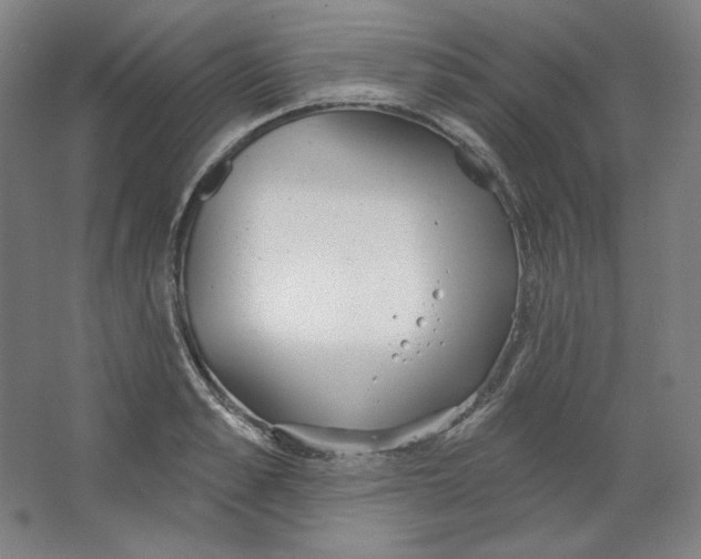 X0000063450989200602101644