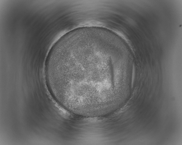 X0000063450990200602101644