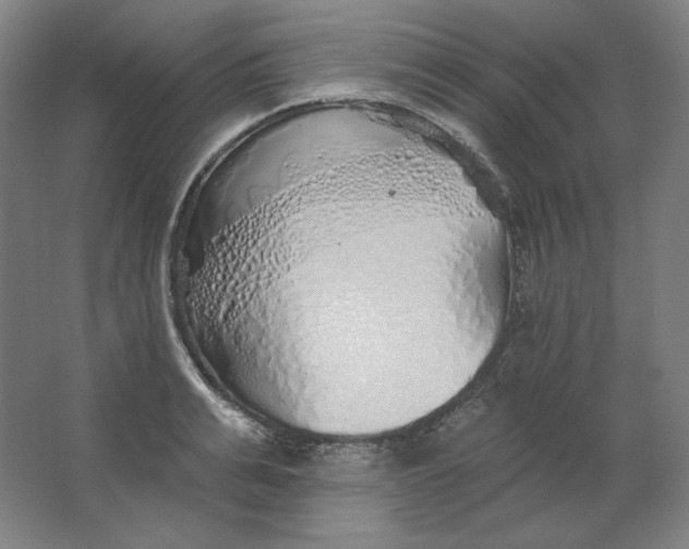 X0000063450991200602101644