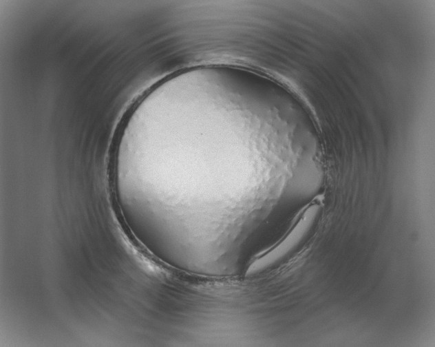 X0000063450995200602101644