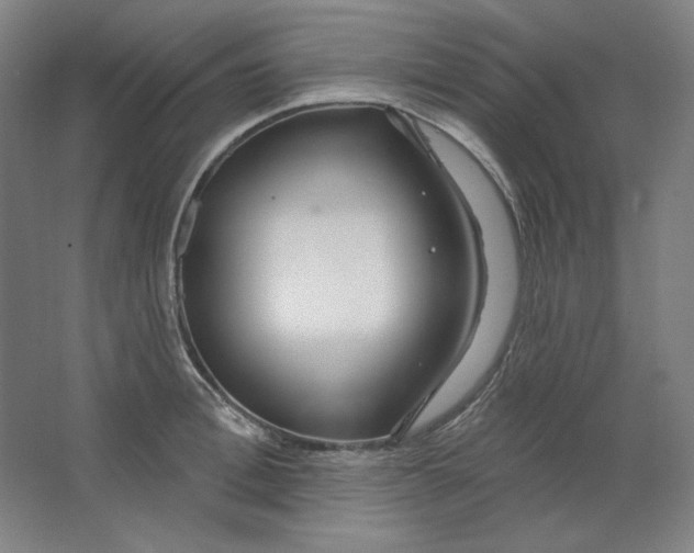 X0000063450996200602101644