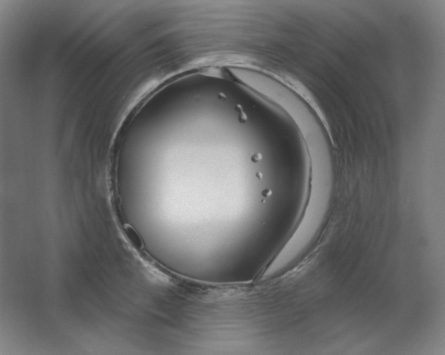 X0000063450997200602101643