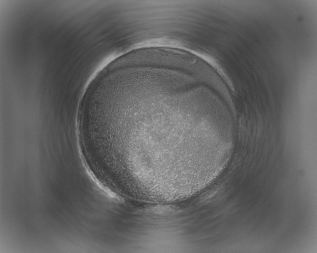 X0000063450998200602101643