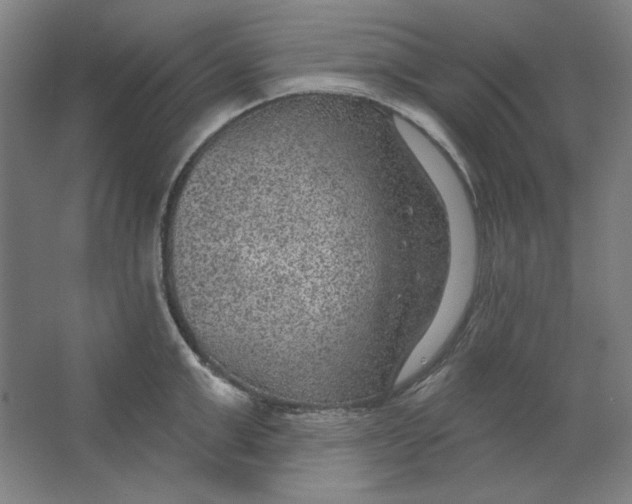 X0000063450999200602101643