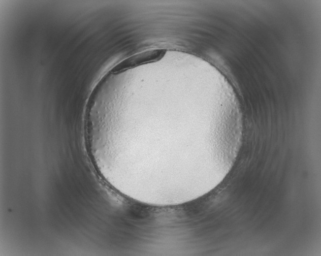 X0000063451002200602101643