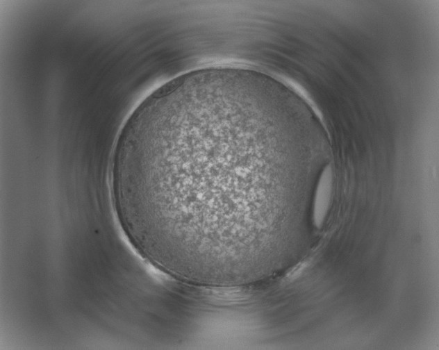 X0000063451007200602101643