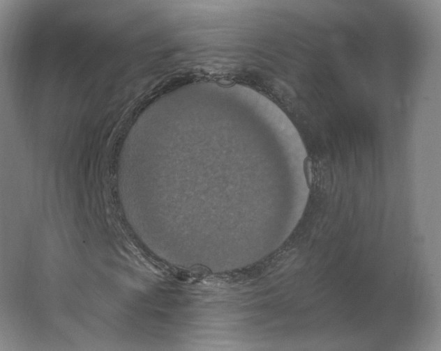 X0000063451009200602101643