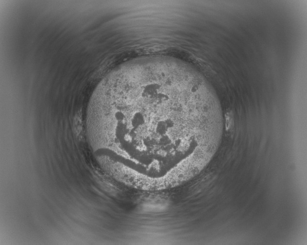 X0000063451011200602101643