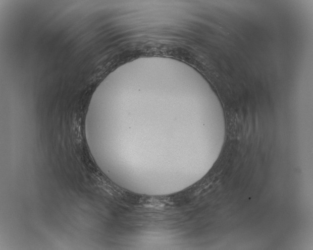 X0000063451013200602101643