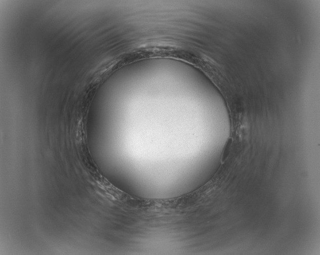 X0000063451014200602101643