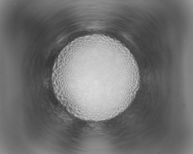 X0000063451015200602101643