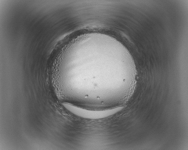 X0000063451016200602101643