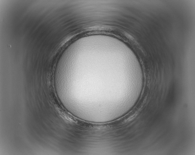 X0000063451017200602101643