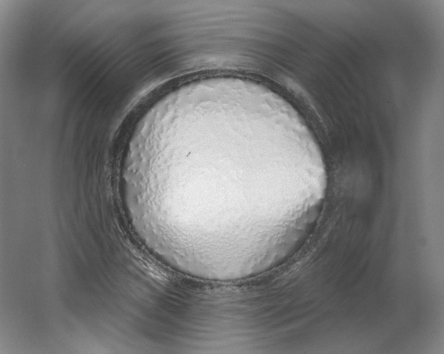 X0000063451019200602101643