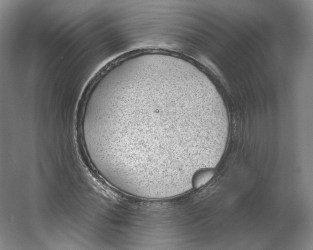 X0000063451020200602101643