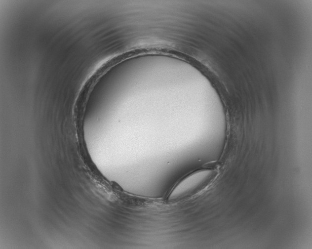 X0000063451022200602101643