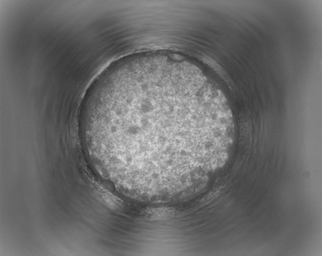 X0000063451023200602101643