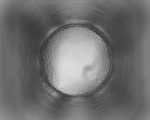 X0000063451025200602101643