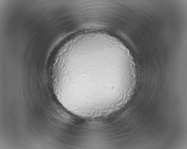 X0000063451027200602101643