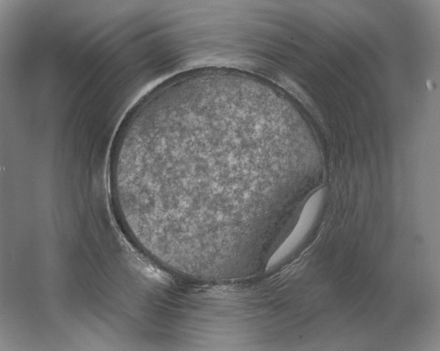 X0000063451028200602101643