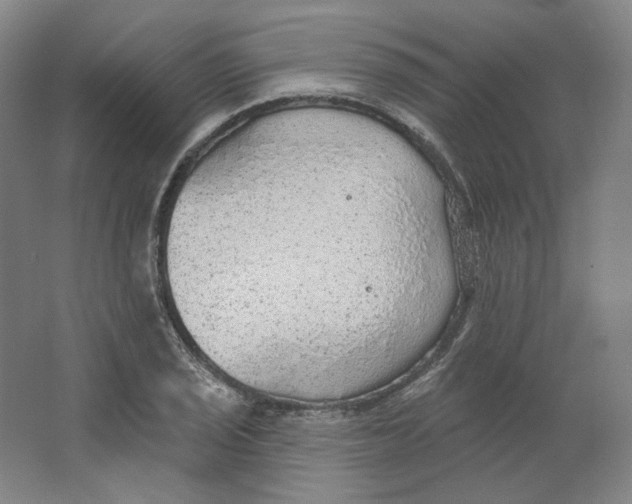 X0000063451029200602101643