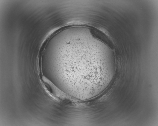 X0000063451030200602101643