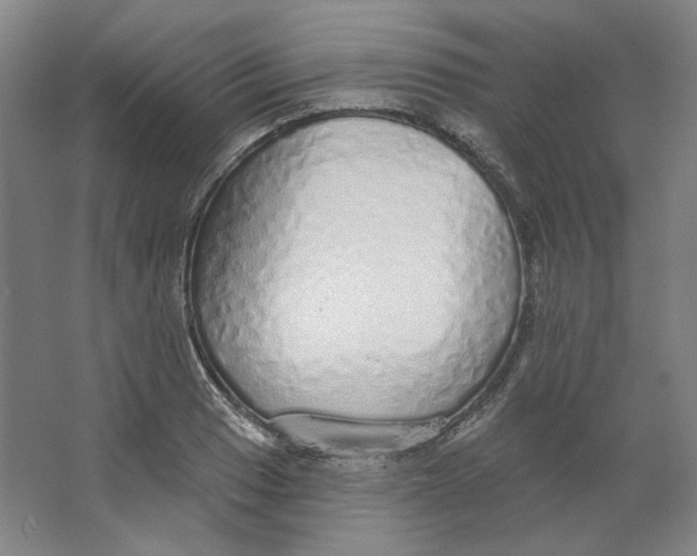 X0000063451033200602101643