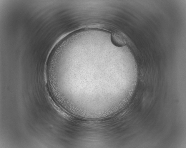 X0000063451036200602101643