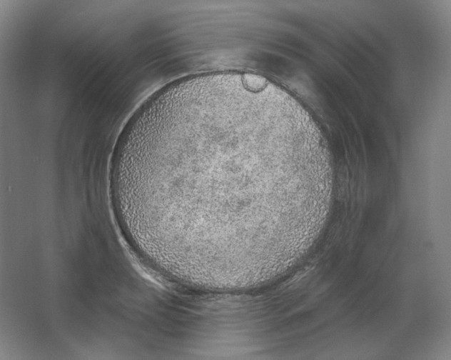 X0000063451039200602101643