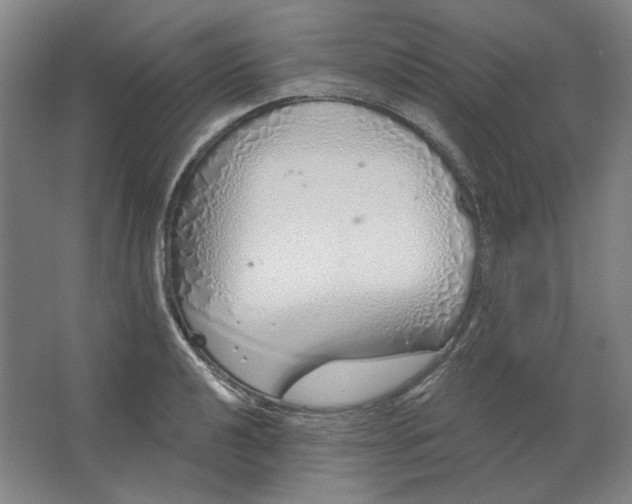 X0000063451040200602101643