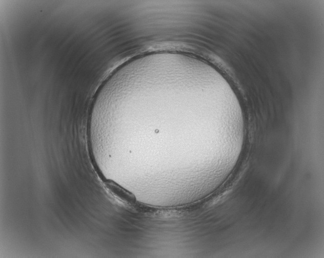 X0000063451041200602101643