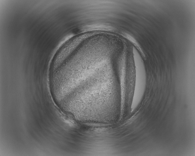 X0000063451043200602101643