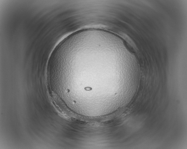 X0000063451044200602101643